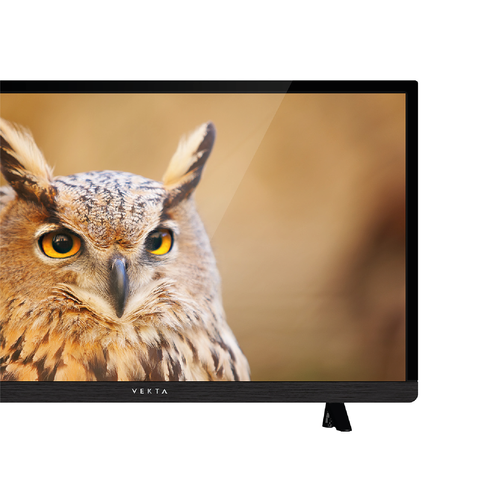 Vekta Телевизор FHD 24" LD-24SF6015BT 