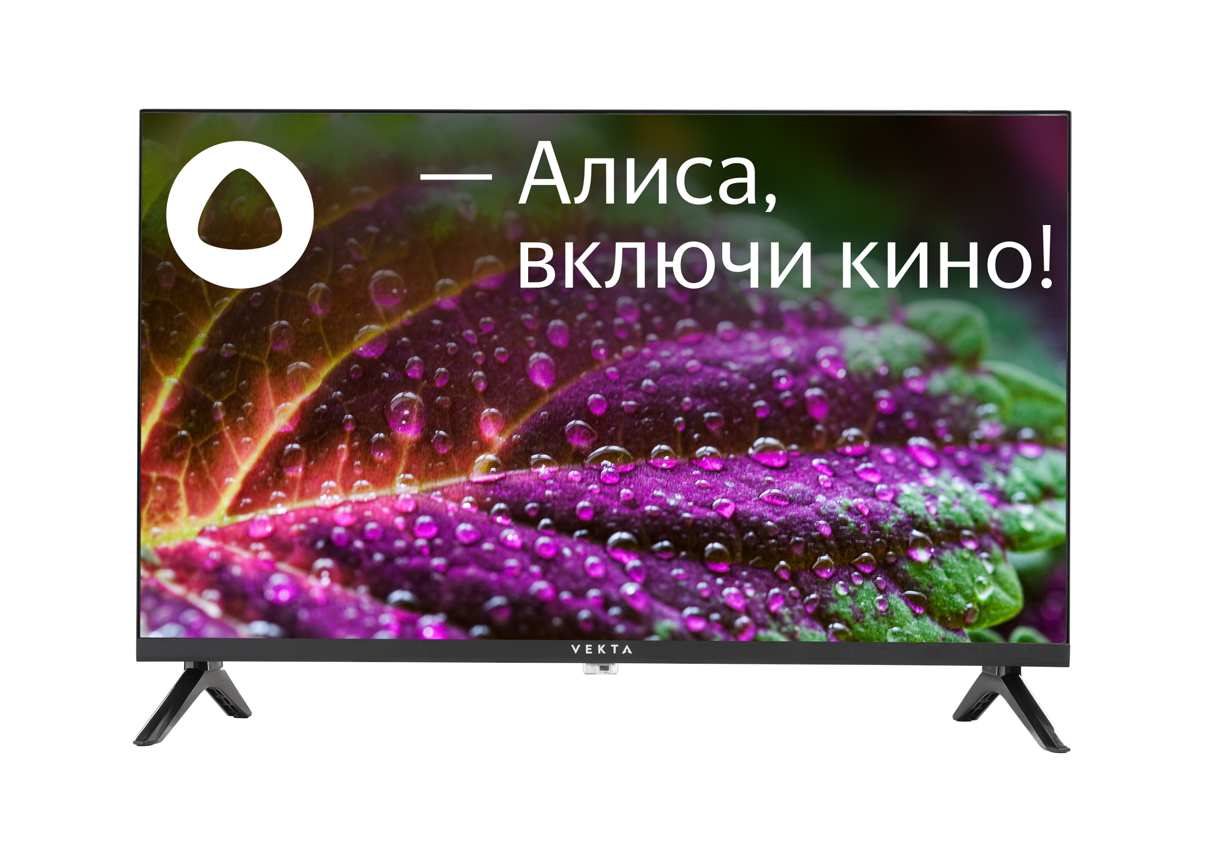 Vekta Яндекс.ТВ LD-24SR5350BS